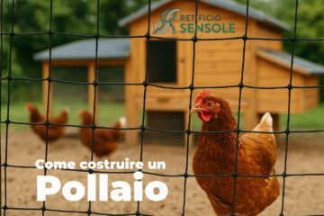 Come costruire un pollaio